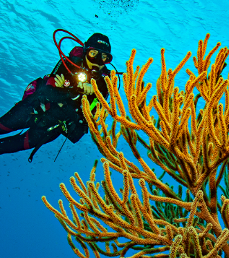 Diving School Curacao