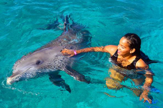 Curacao Dolphin Swim